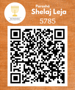 QR_Shelaj_5785_2024-2025